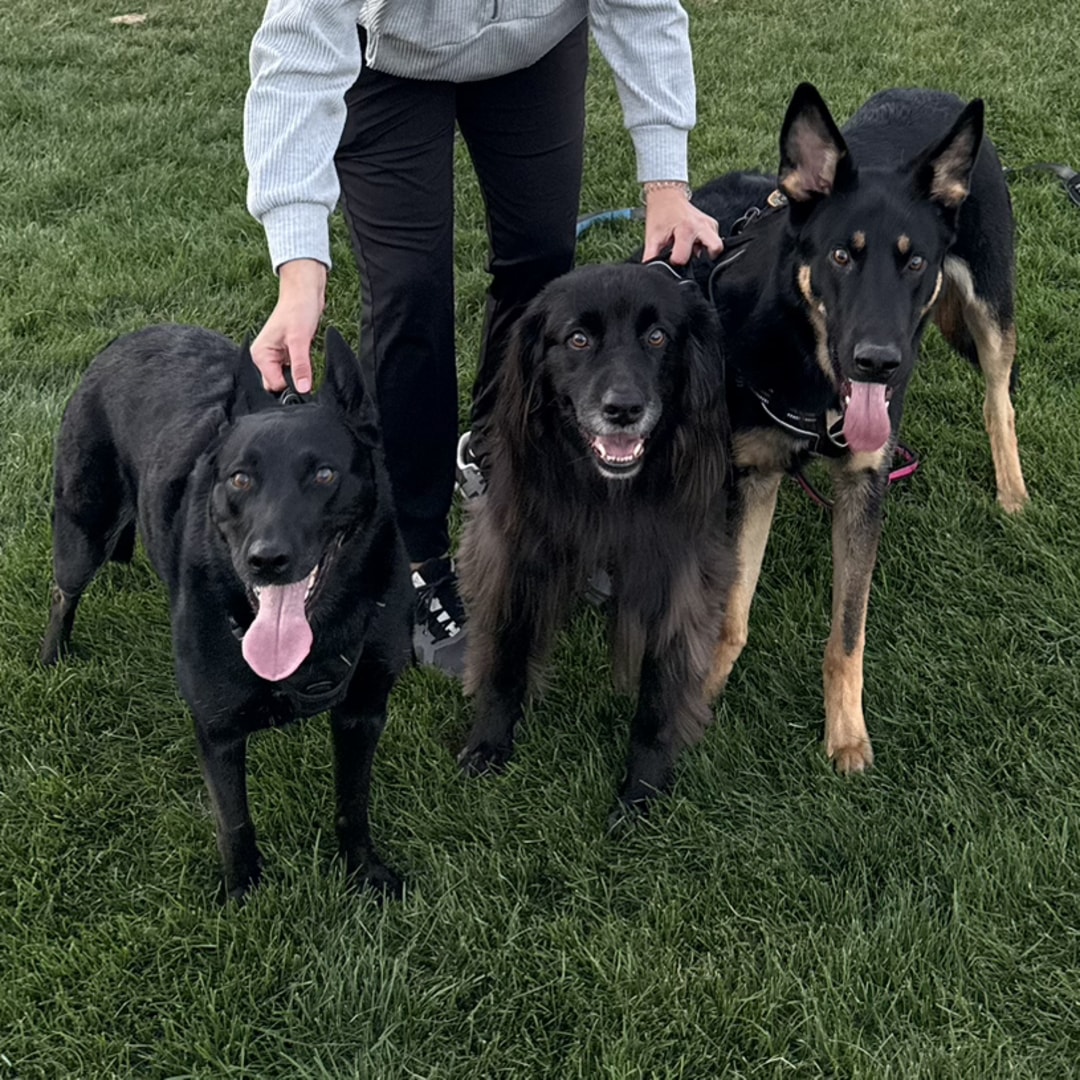 Photo shared by Eternytie for their Babylist baby registry.