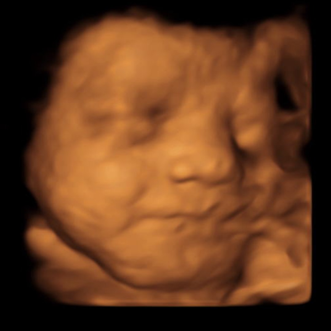 Photo shared by Jordyn for their Babylist baby registry.