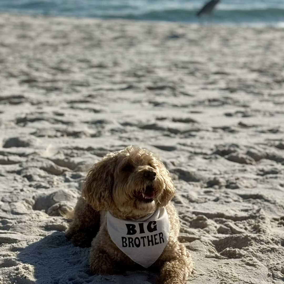 Photo shared by Jamie for their Babylist baby registry.