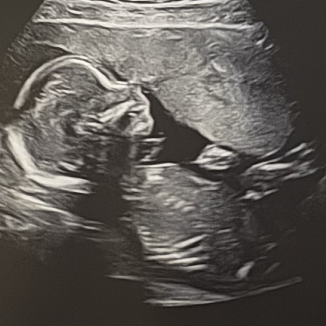 Photo shared by Alexia for their Babylist baby registry.