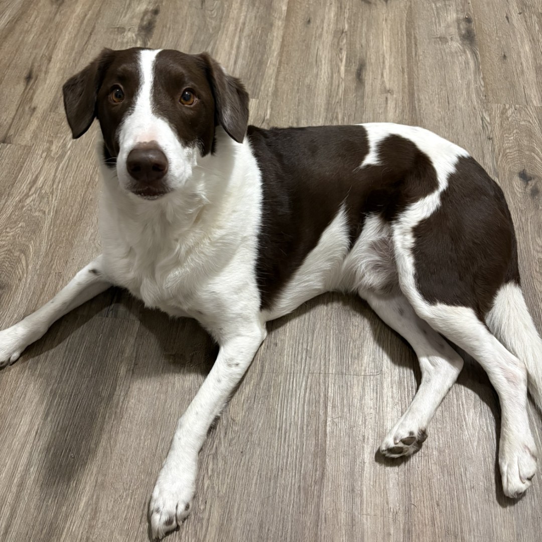 Photo shared by Abi for their Babylist baby registry.