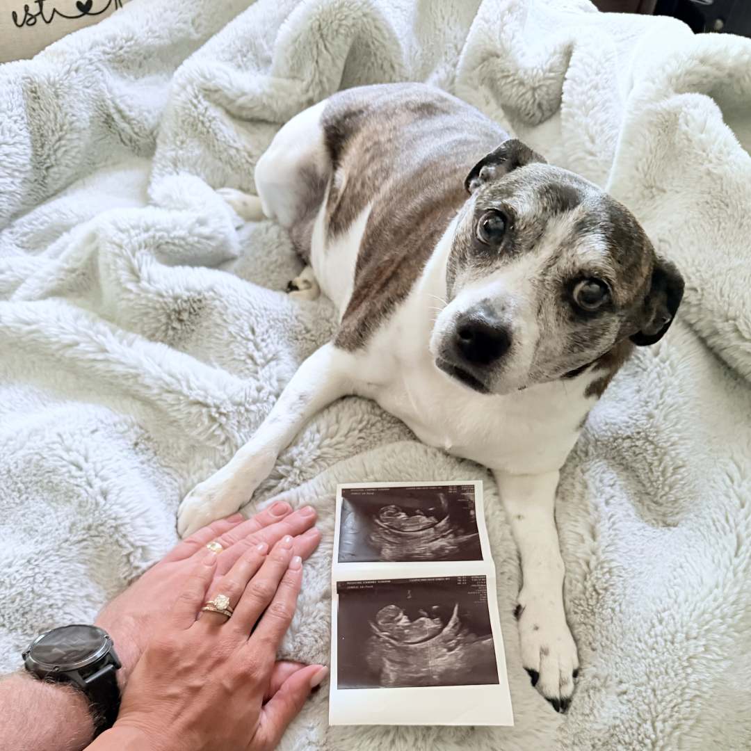 Photo shared by Courtney for their Babylist baby registry.