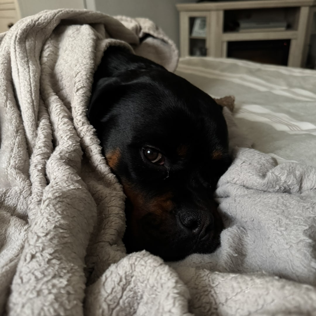 Photo shared by Kelsey for their Babylist baby registry.