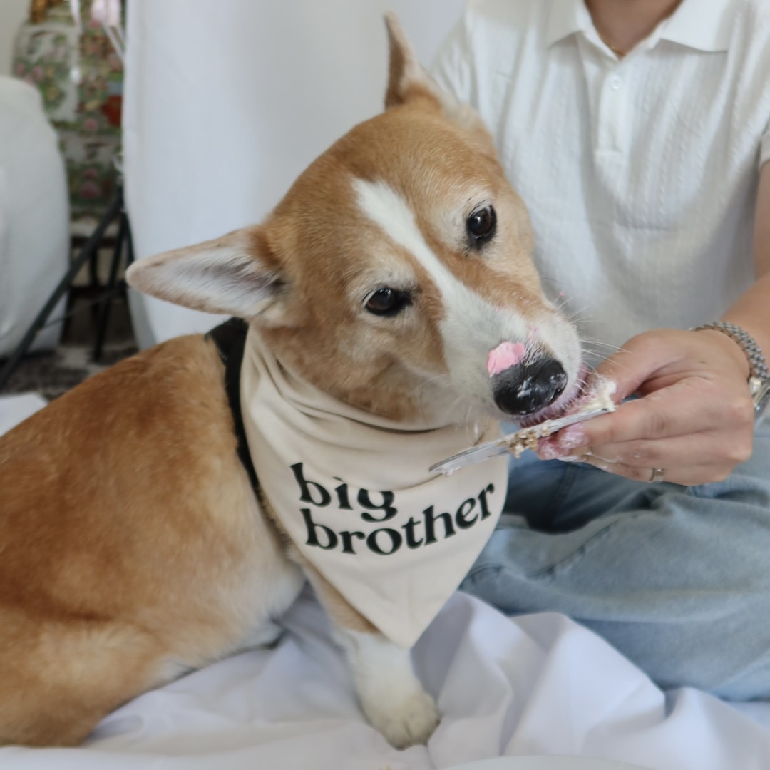Photo shared by Jessica for their Babylist baby registry.
