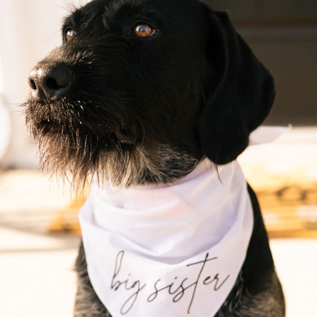 Photo shared by Alexis for their Babylist baby registry.