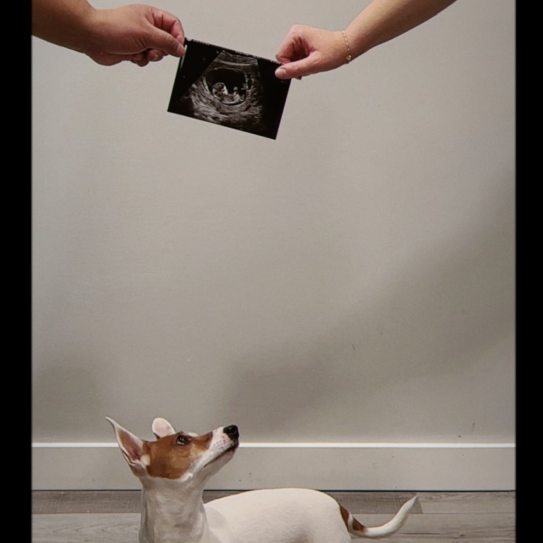Photo shared by Victoria for their Babylist baby registry.