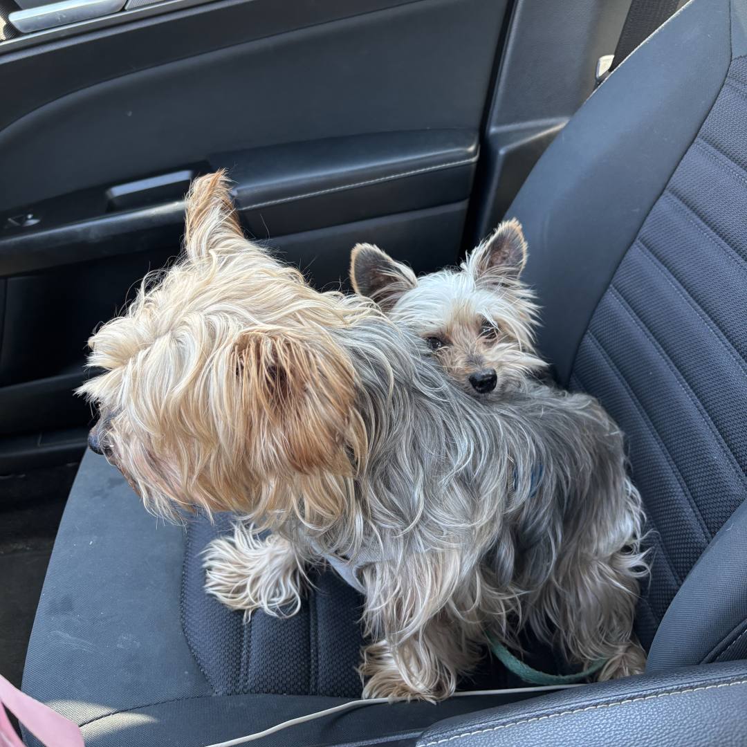 Photo shared by Kaitlyn for their Babylist baby registry.