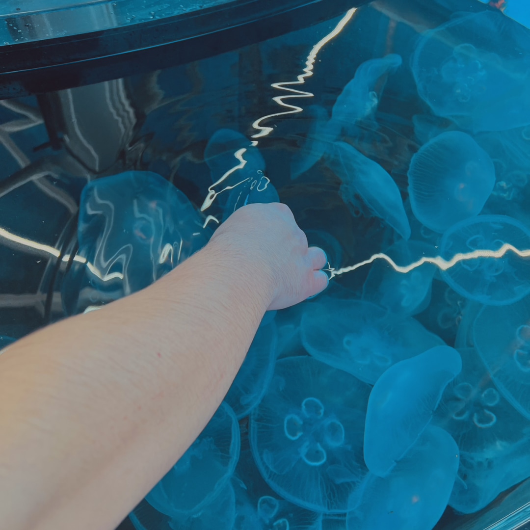 Photo shared by Kimberly for their Babylist baby registry.