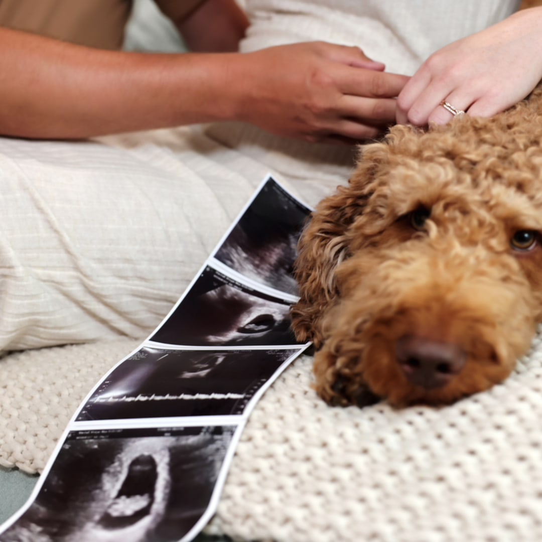 Photo shared by Morgan for their Babylist baby registry.