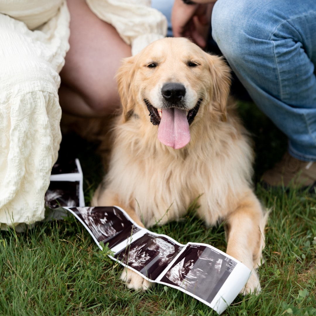 Photo shared by Hannah for their Babylist baby registry.