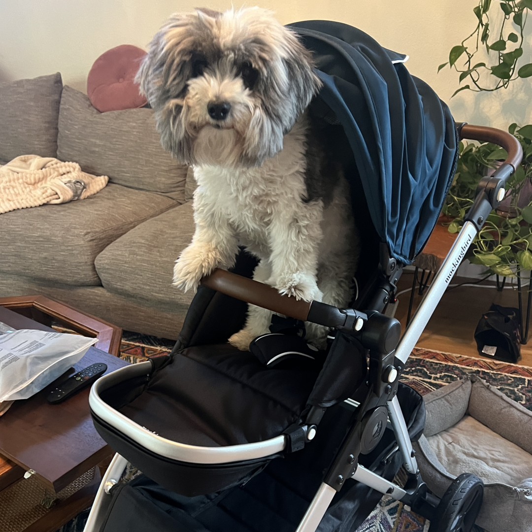 Photo shared by Anna for their Babylist baby registry.