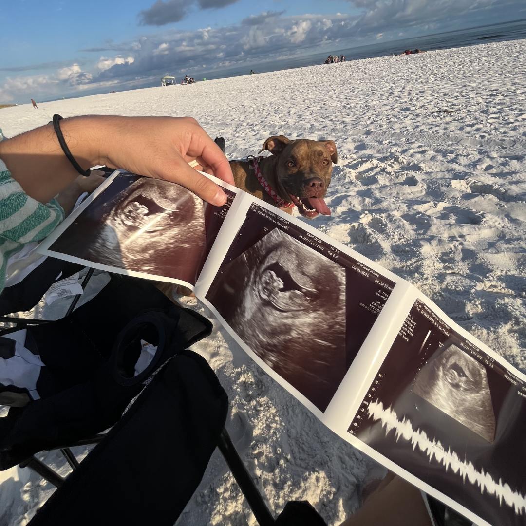 Photo shared by Marissa for their Babylist baby registry.