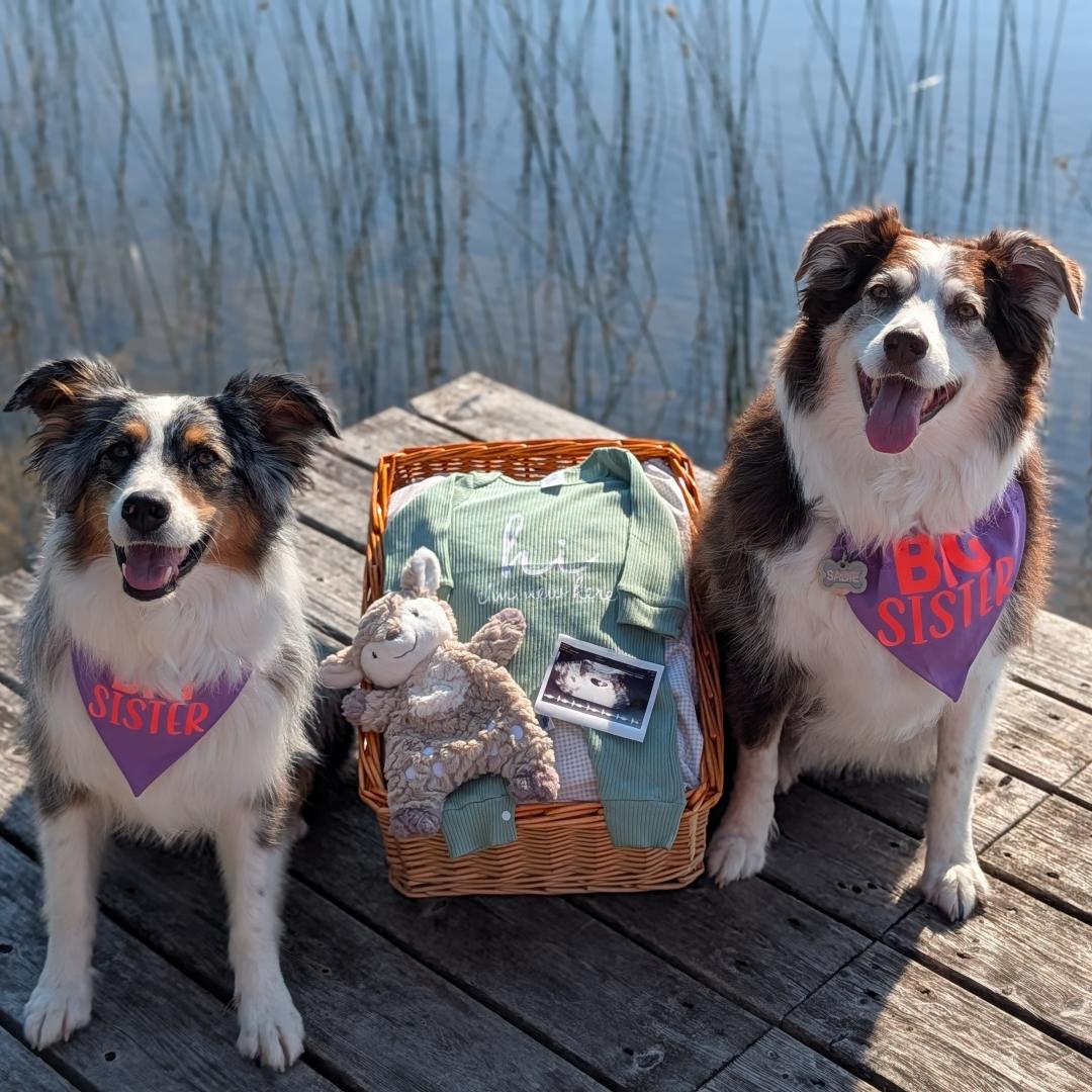 Photo shared by Sarah for their Babylist baby registry.