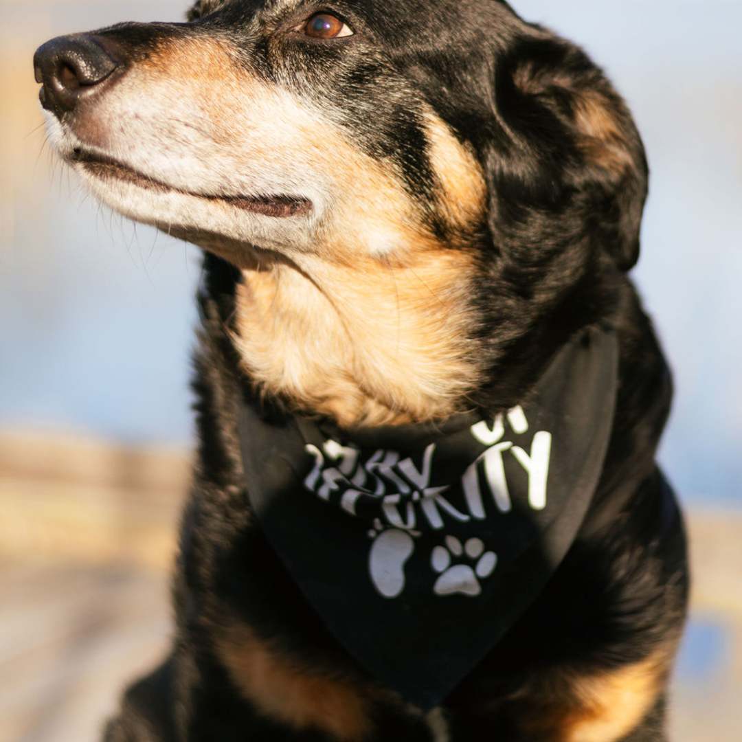 Photo shared by Abigail for their Babylist baby registry.