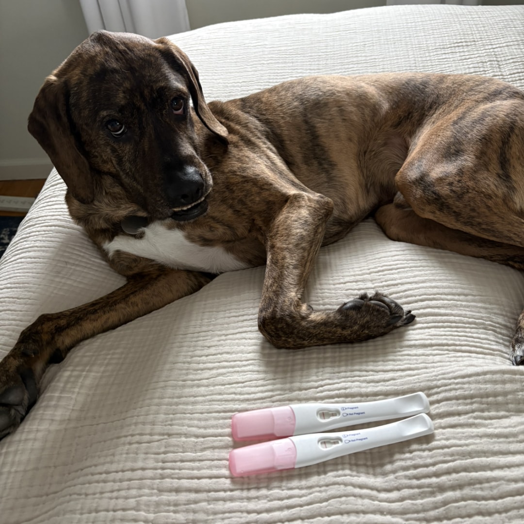 Photo shared by Ashley for their Babylist baby registry.
