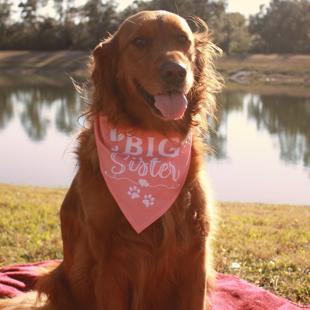 Photo shared by Emily for their Babylist baby registry.