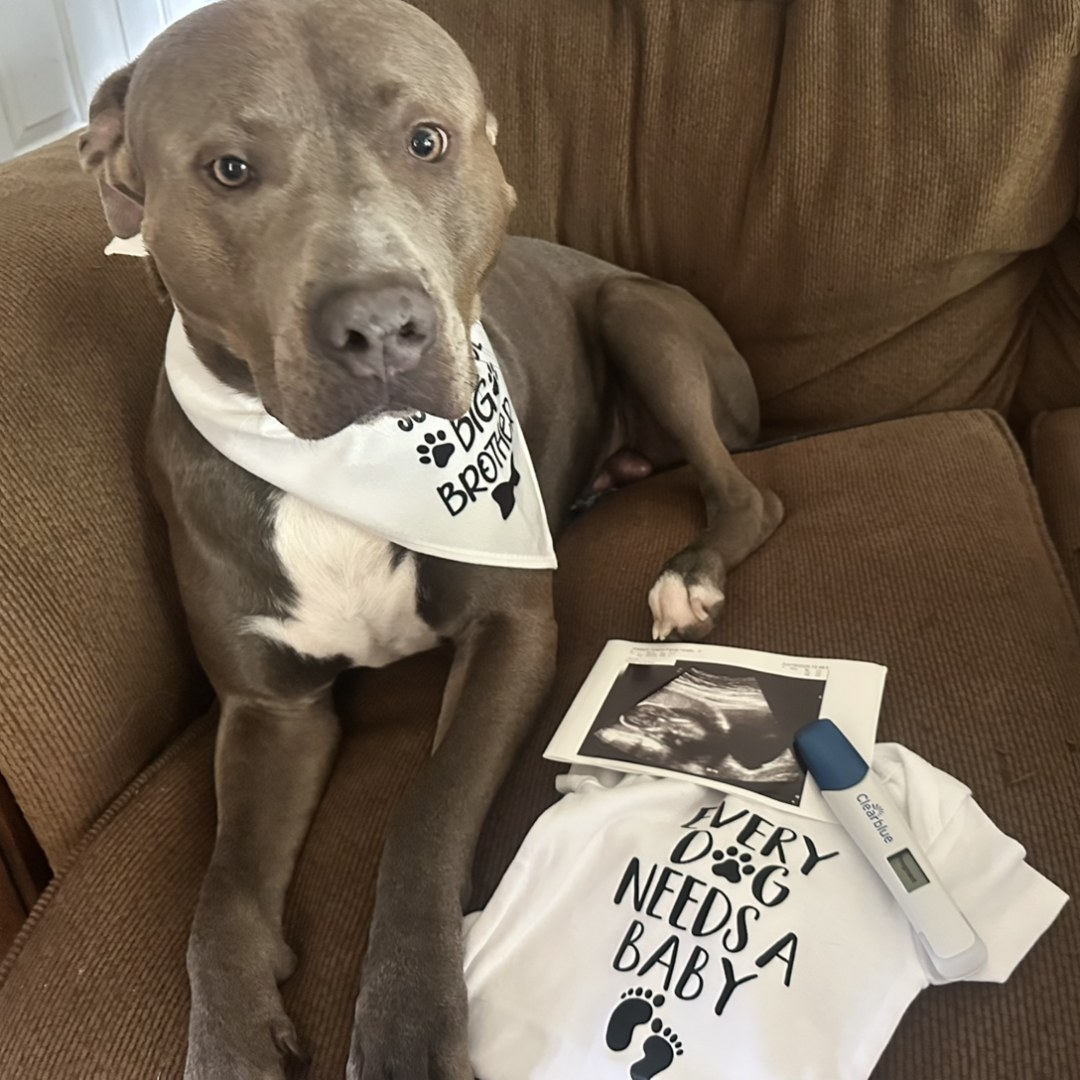 Photo shared by Hayley for their Babylist baby registry.