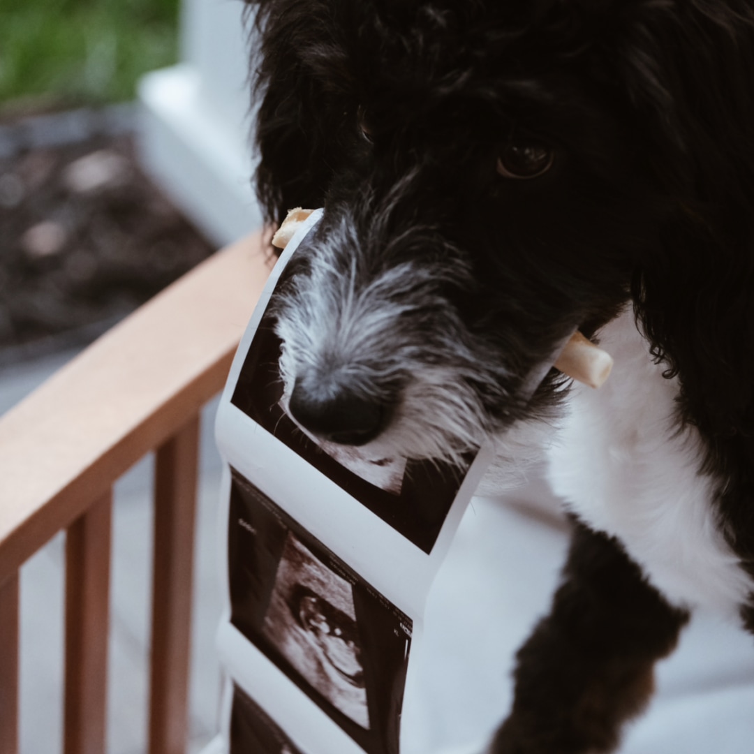 Photo shared by Jack and KG for their Babylist baby registry.