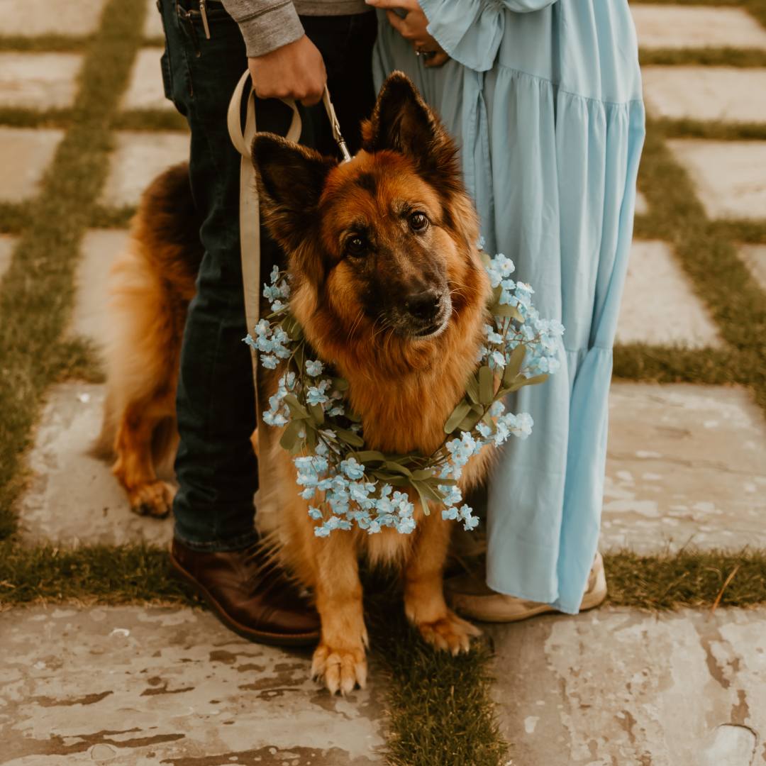 Photo shared by Nicole for their Babylist baby registry.