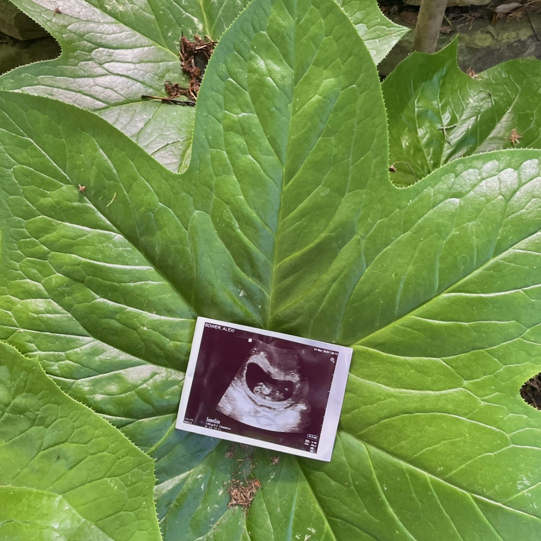 Photo shared by Alexi for their Babylist baby registry.