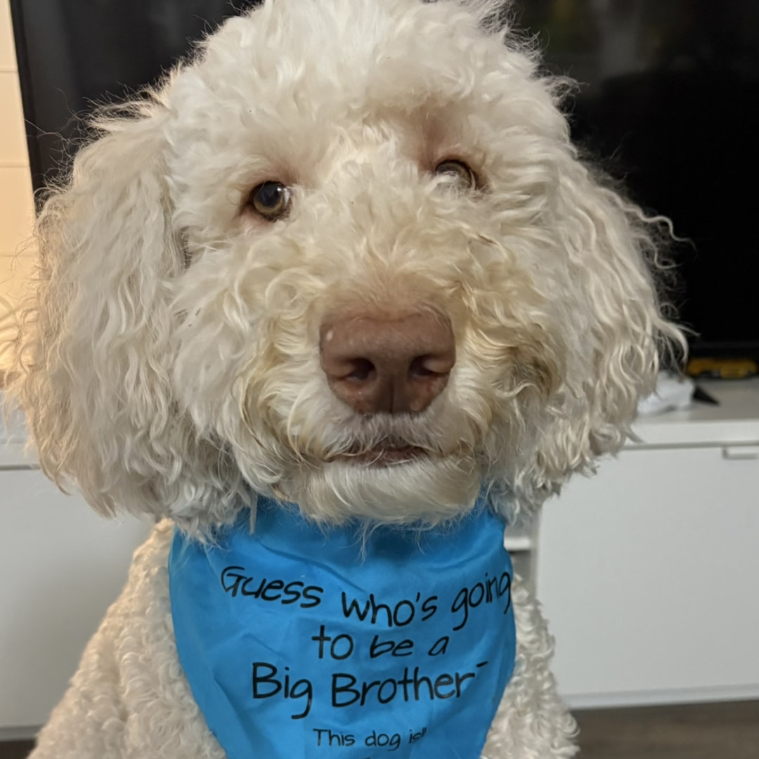 Photo shared by Alyssa for their Babylist baby registry.