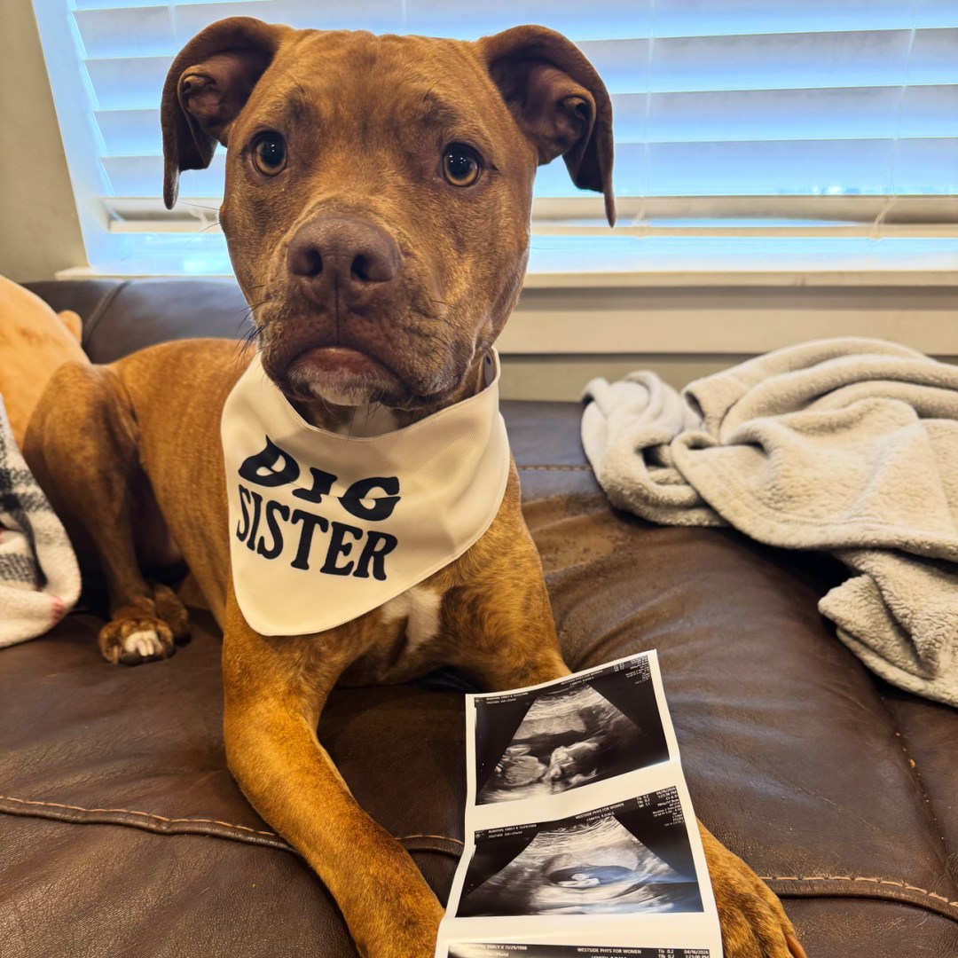 Photo shared by Emily for their Babylist baby registry.