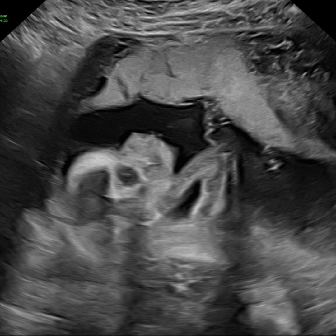 Photo shared by Cheldany for their Babylist baby registry.