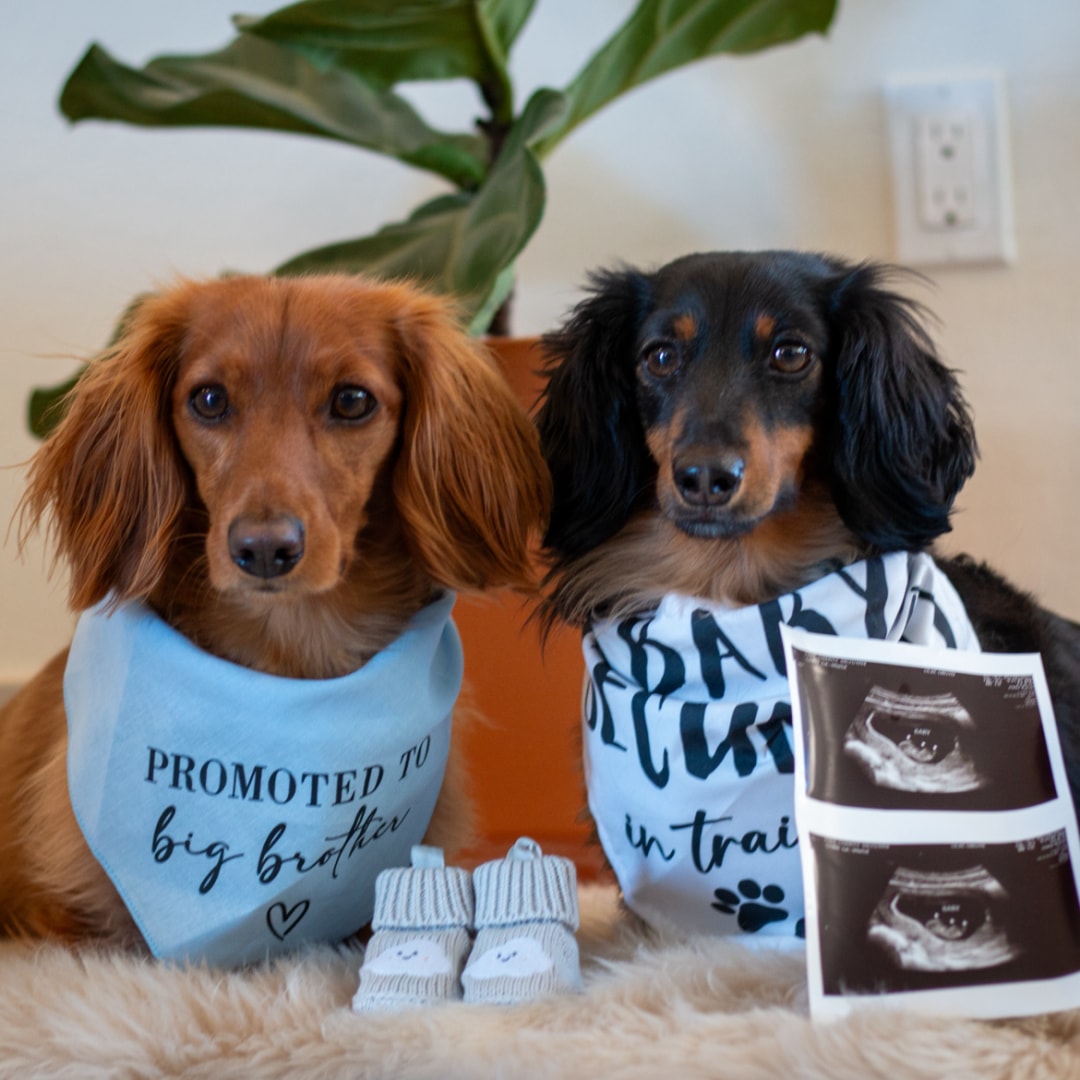 Photo shared by Charity for their Babylist baby registry.