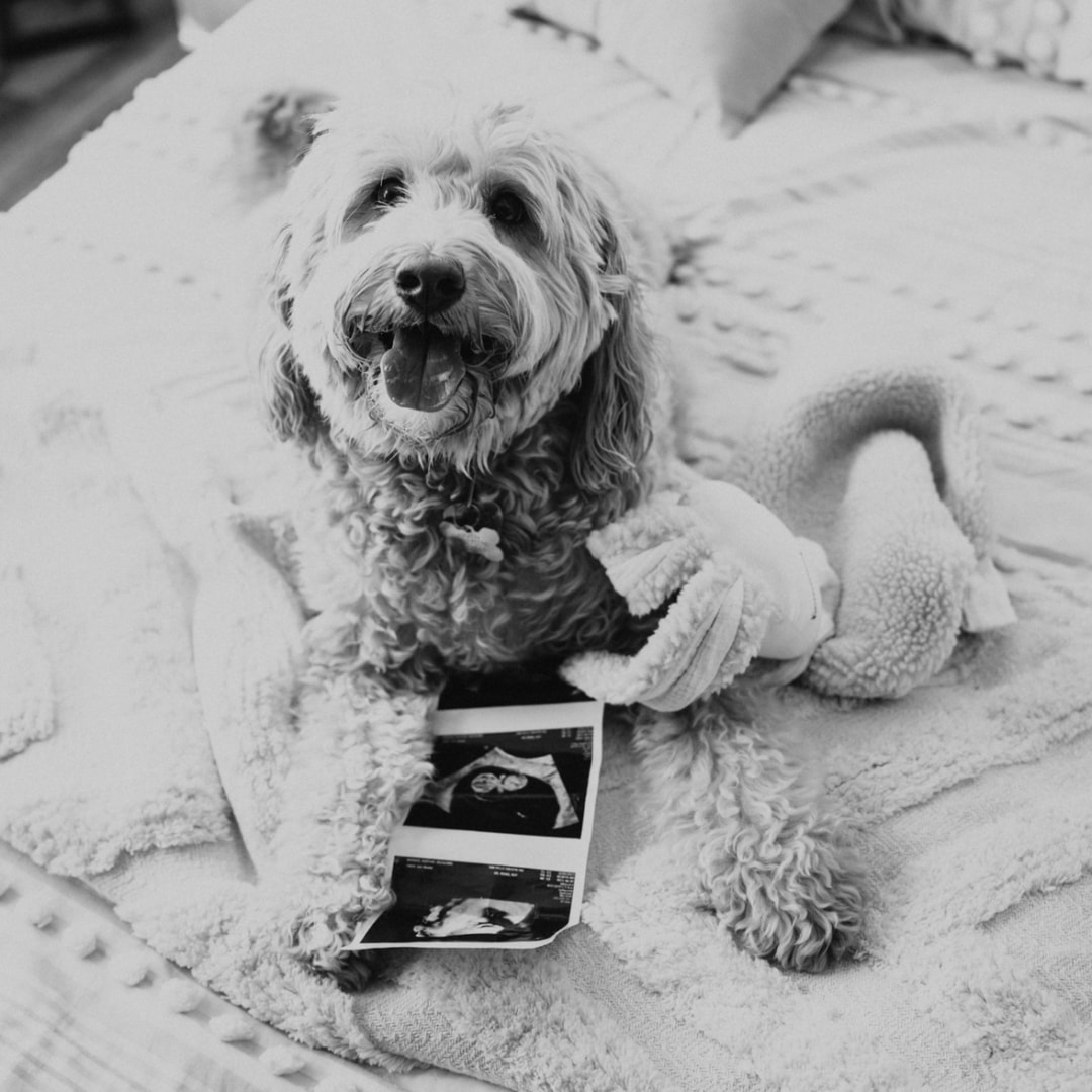 Photo shared by Heather for their Babylist baby registry.