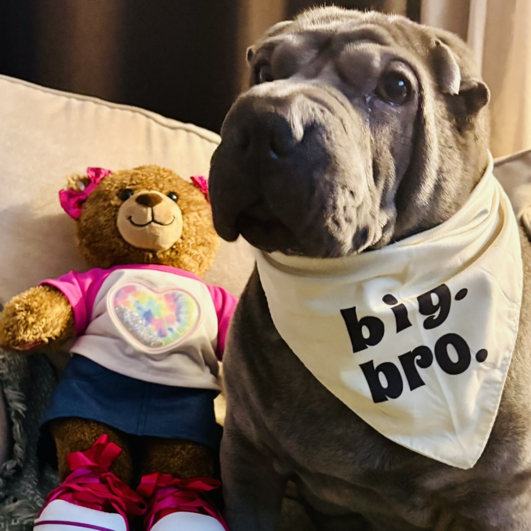 Photo shared by Nathaly for their Babylist baby registry.