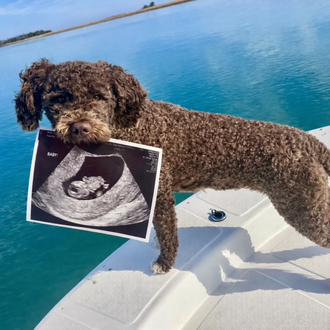 Photo shared by Blair for their Babylist baby registry.