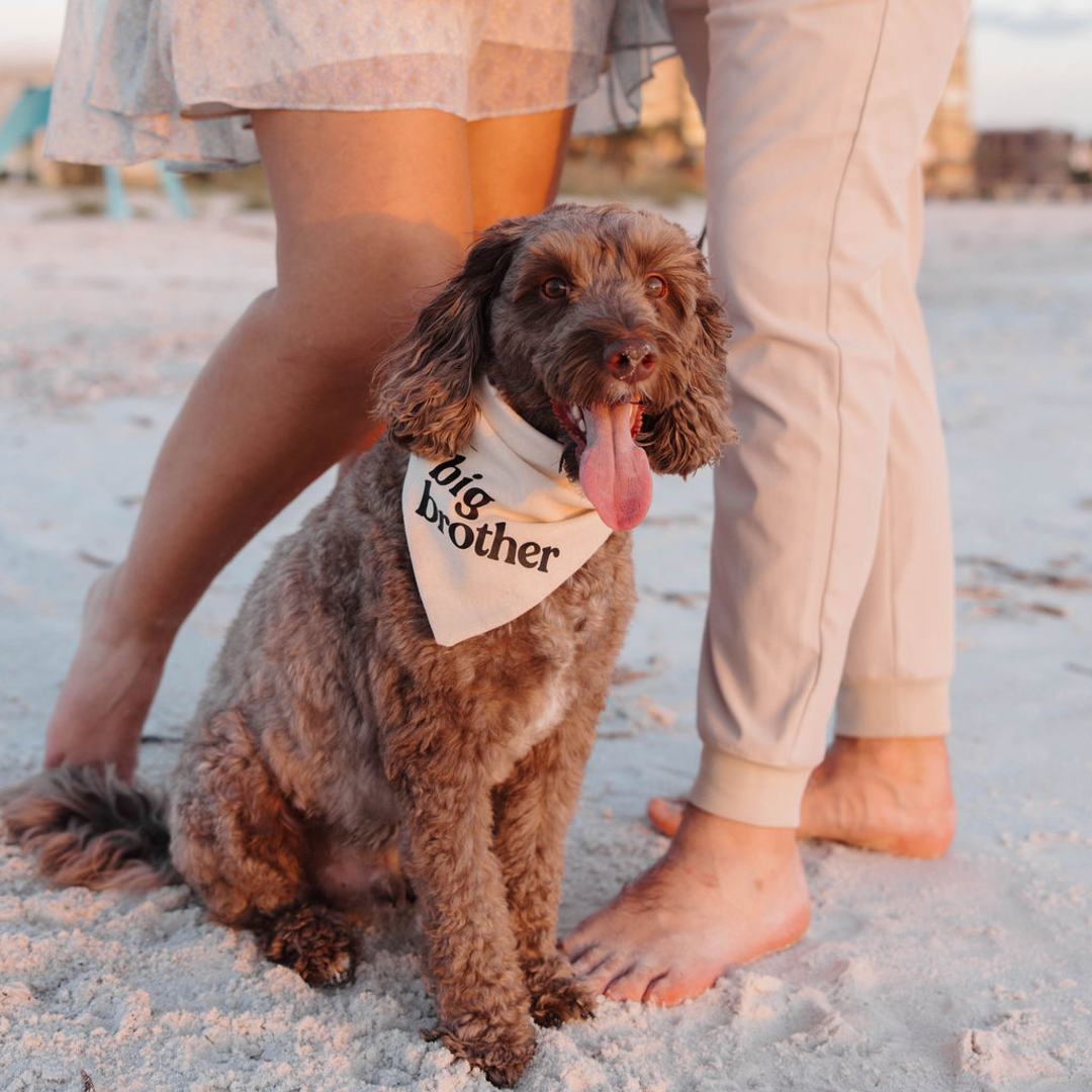 Photo shared by Kristina for their Babylist baby registry.
