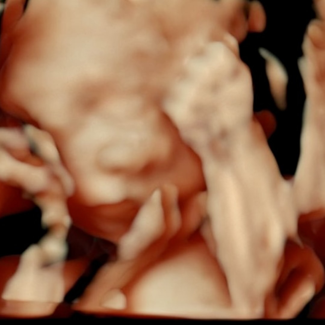 Photo shared by Brittany for their Babylist baby registry.