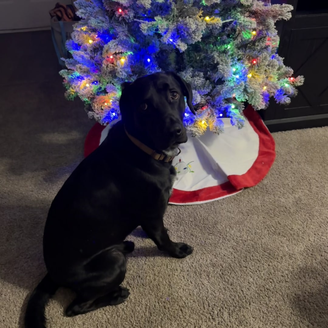 Photo shared by Jenna for their Babylist baby registry.