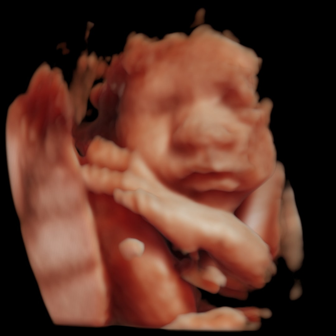 Photo shared by Kelsey for their Babylist baby registry.