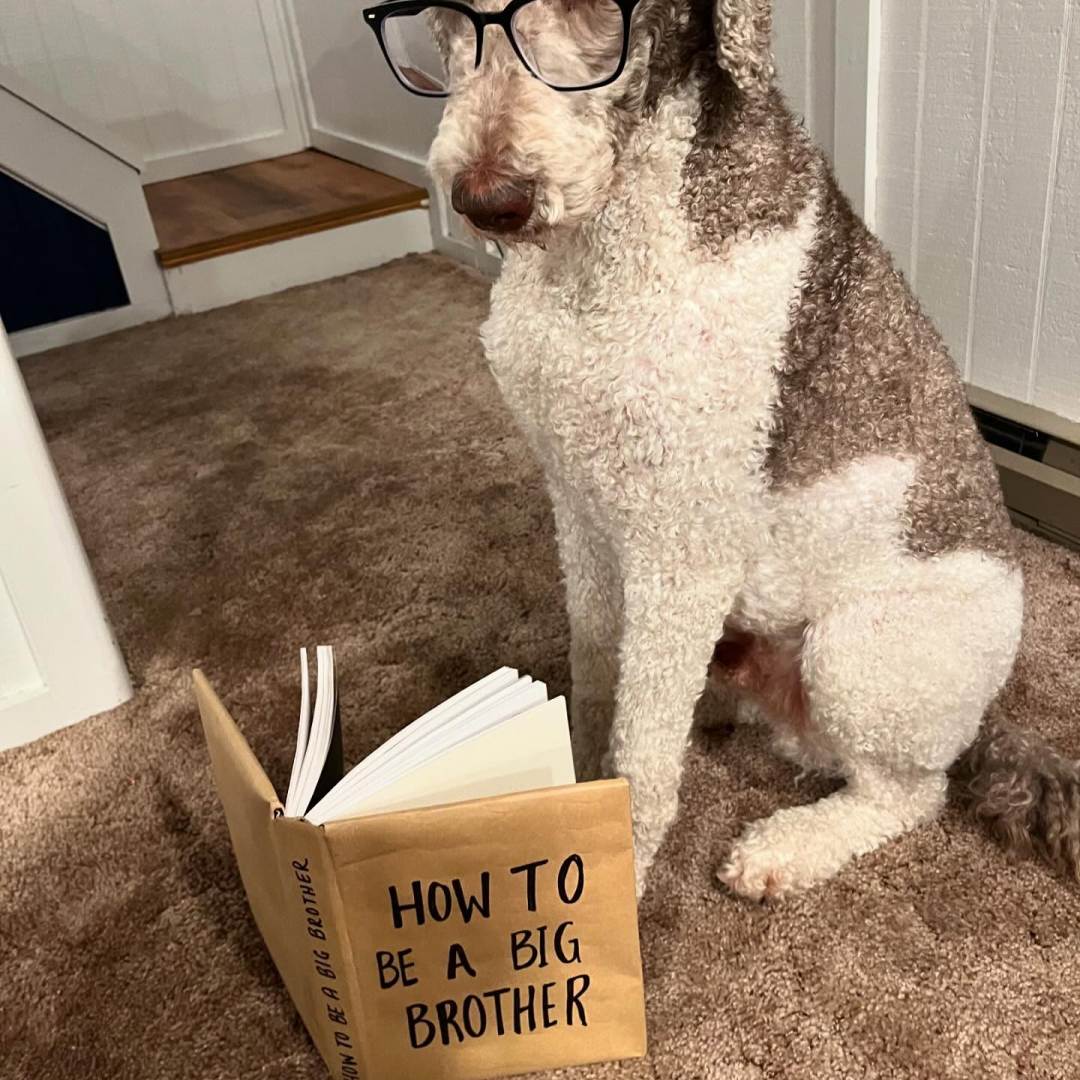 Photo shared by Amanda for their Babylist baby registry.