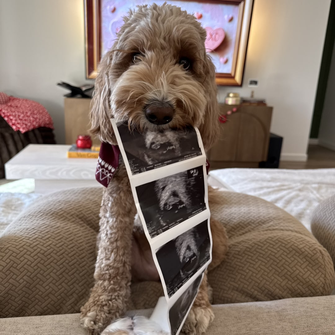 Photo shared by Maddie for their Babylist baby registry.