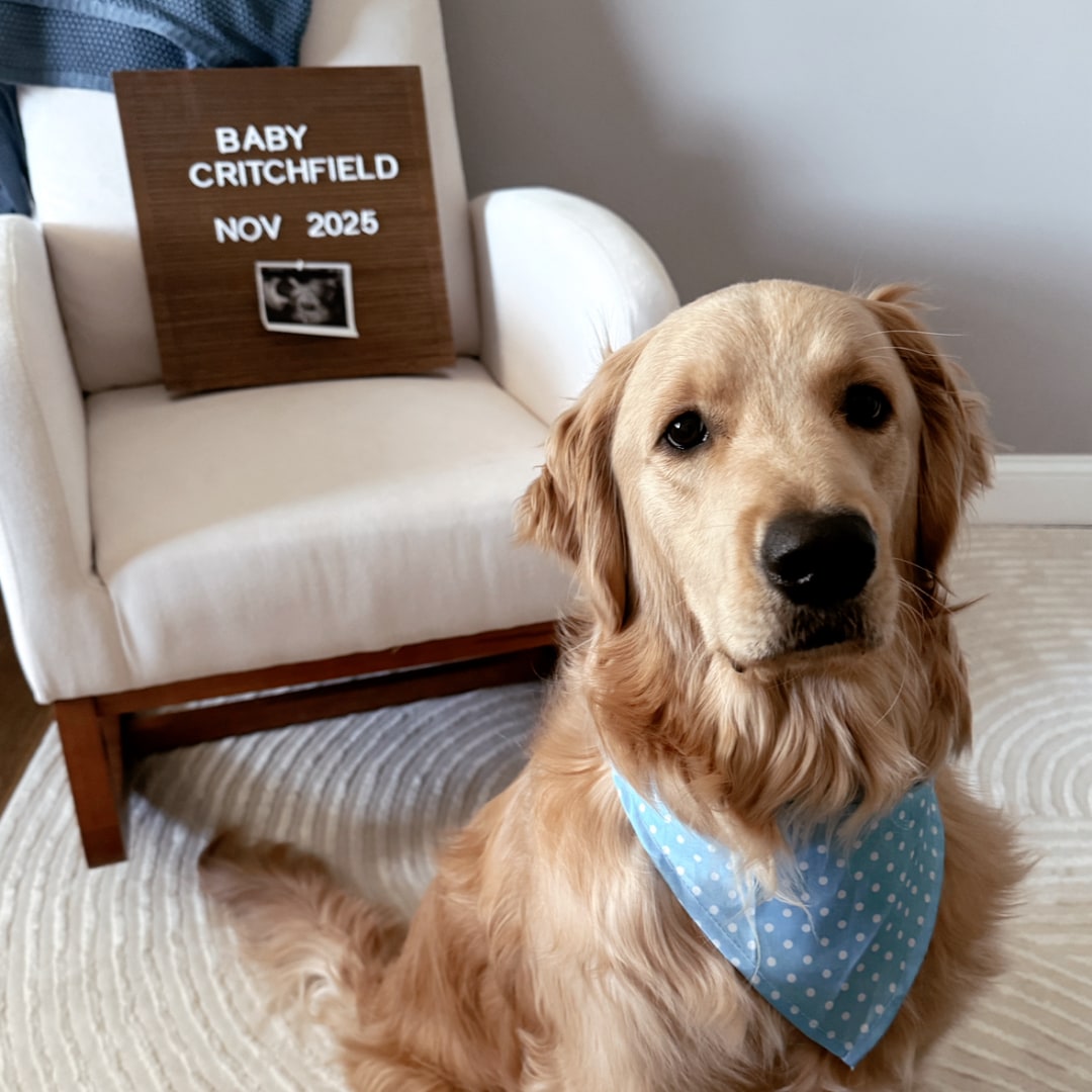 Photo shared by Carmen for their Babylist baby registry.