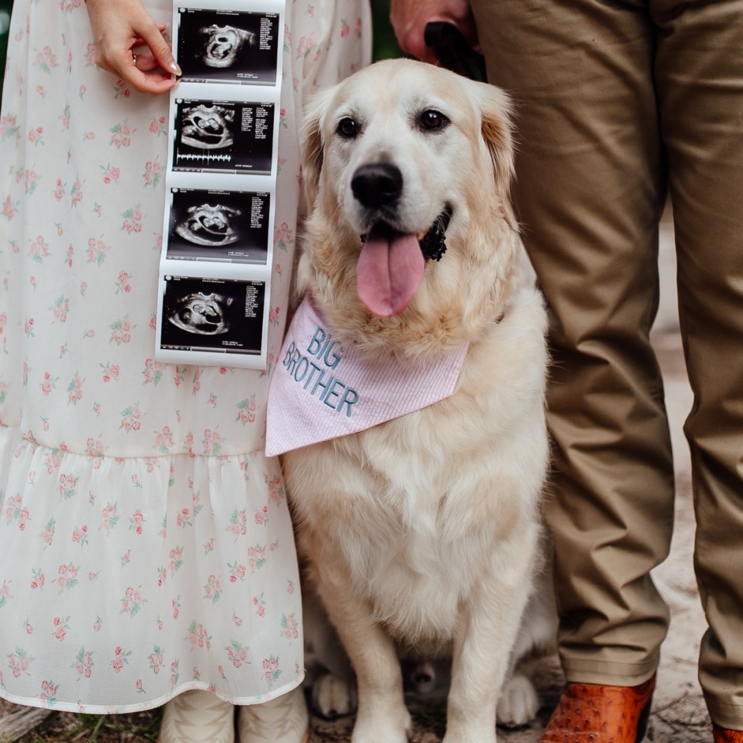 Photo shared by Brooke for their Babylist baby registry.
