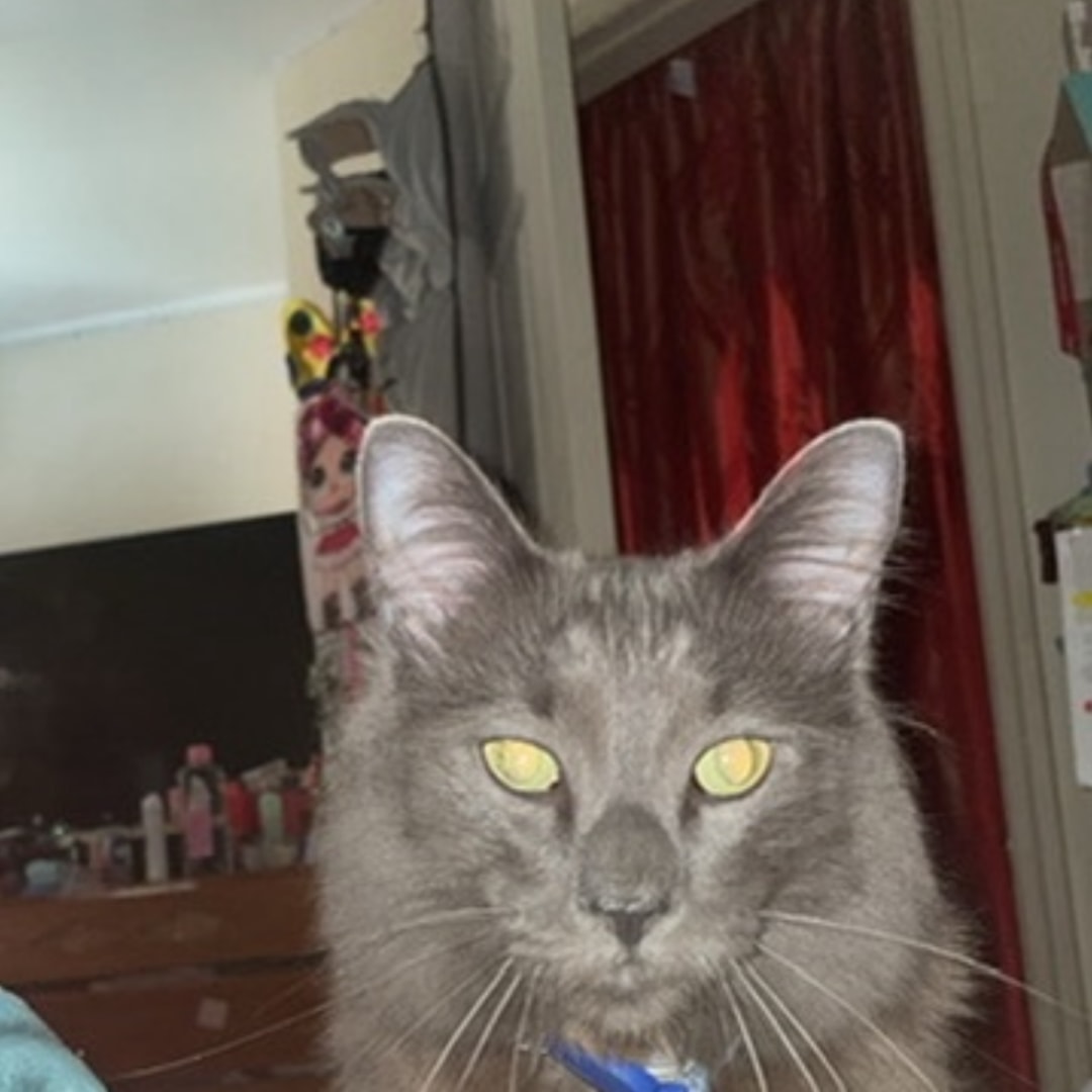 Photo shared by Giseel for their Babylist baby registry.