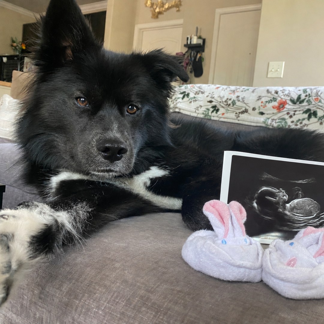 Photo shared by Ana for their Babylist baby registry.