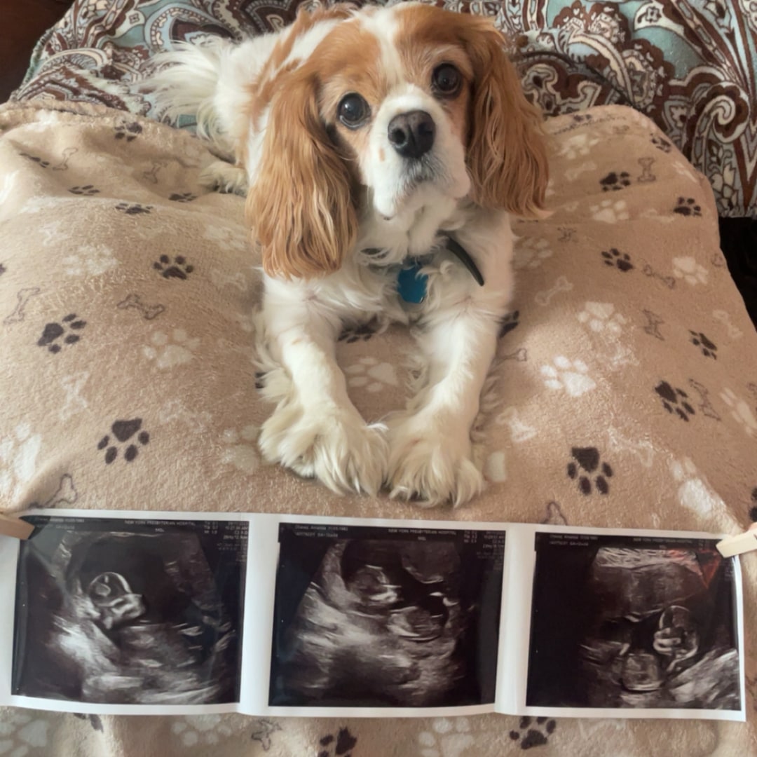 Photo shared by Amanda for their Babylist baby registry.