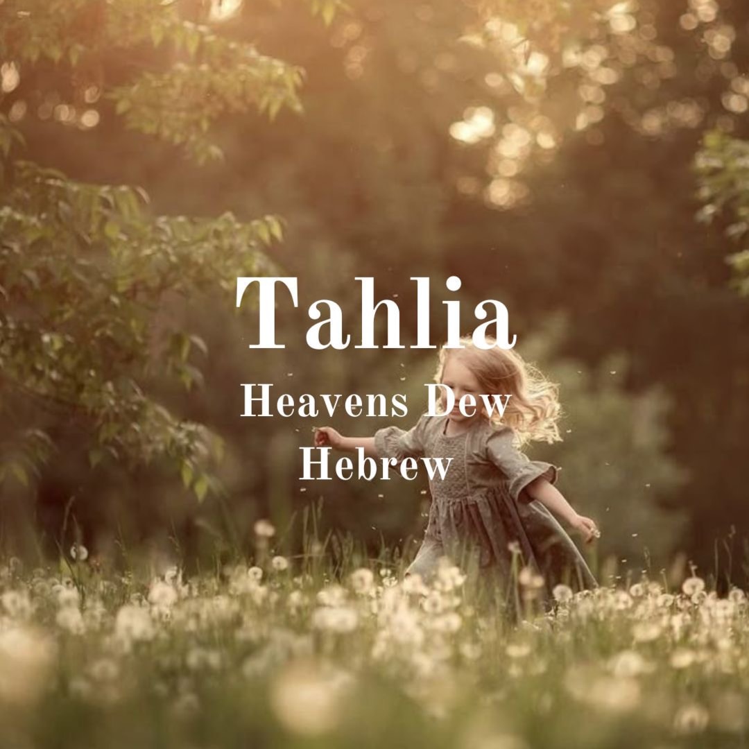 Photo shared by Terri for their Babylist baby registry.