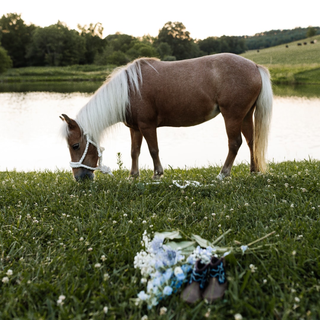 Photo shared by Sarah for their Babylist baby registry.