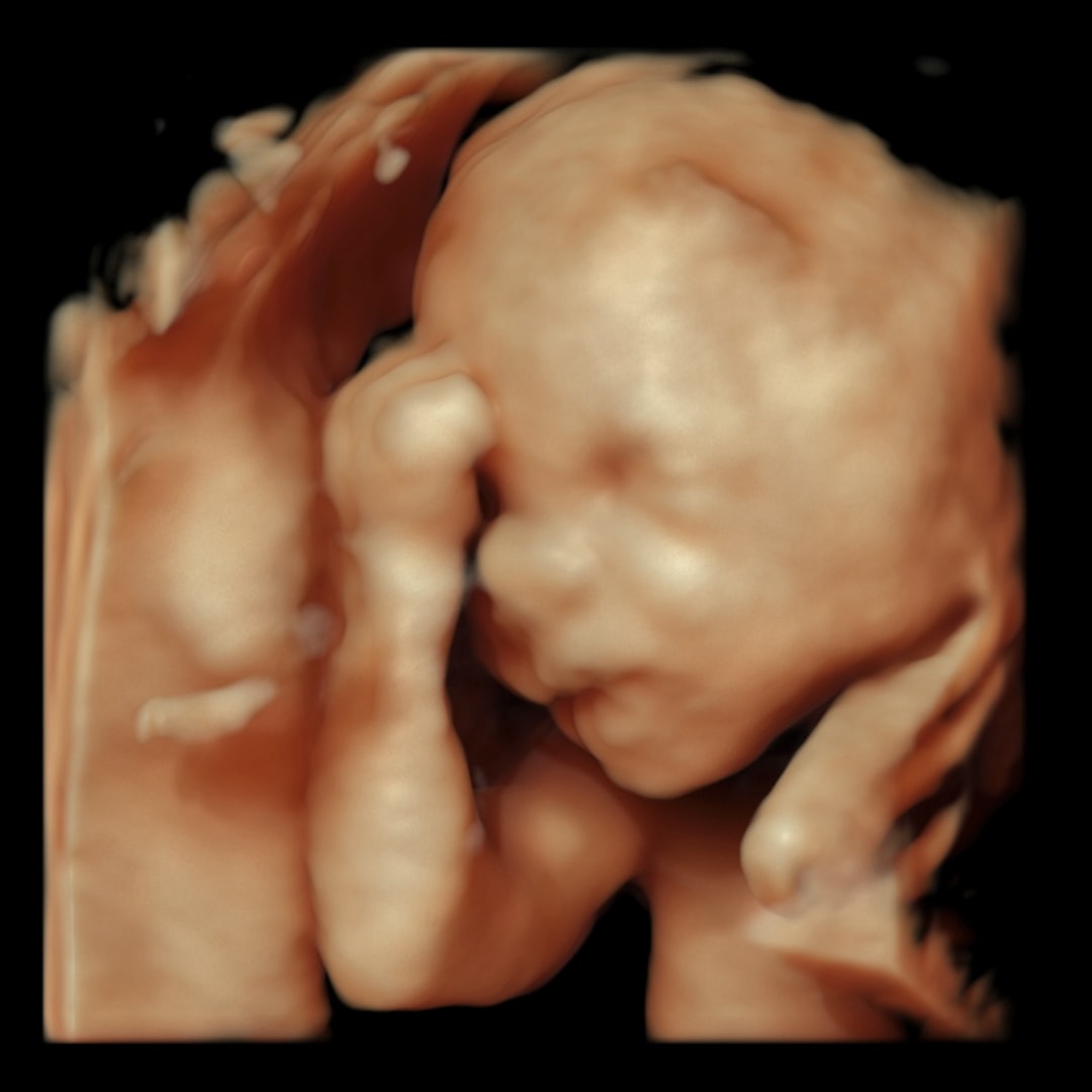 Photo shared by Belle for their Babylist baby registry.