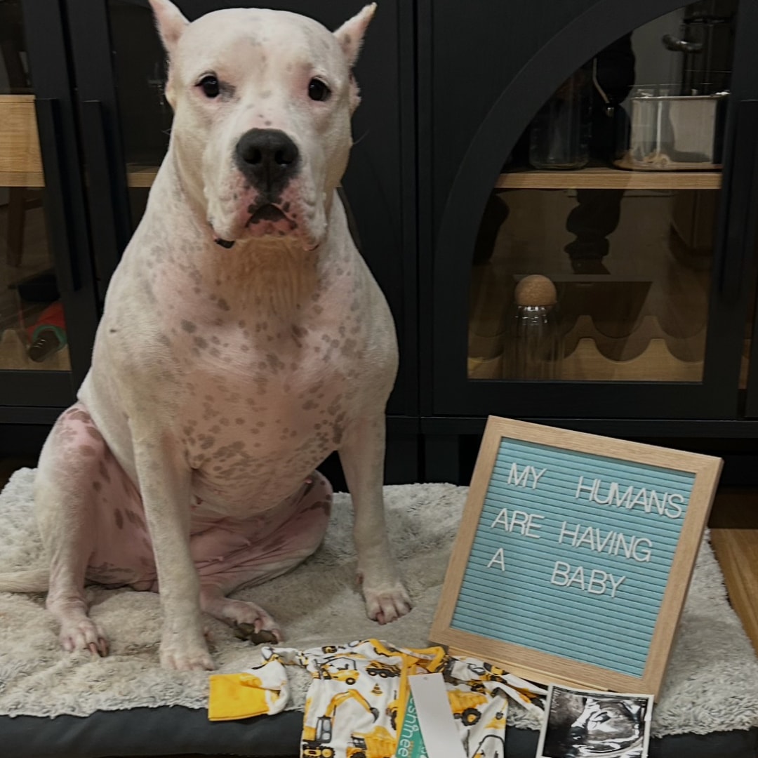 Photo shared by Brisa for their Babylist baby registry.