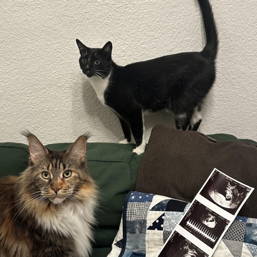 Photo shared by Elizabeth for their Babylist baby registry.