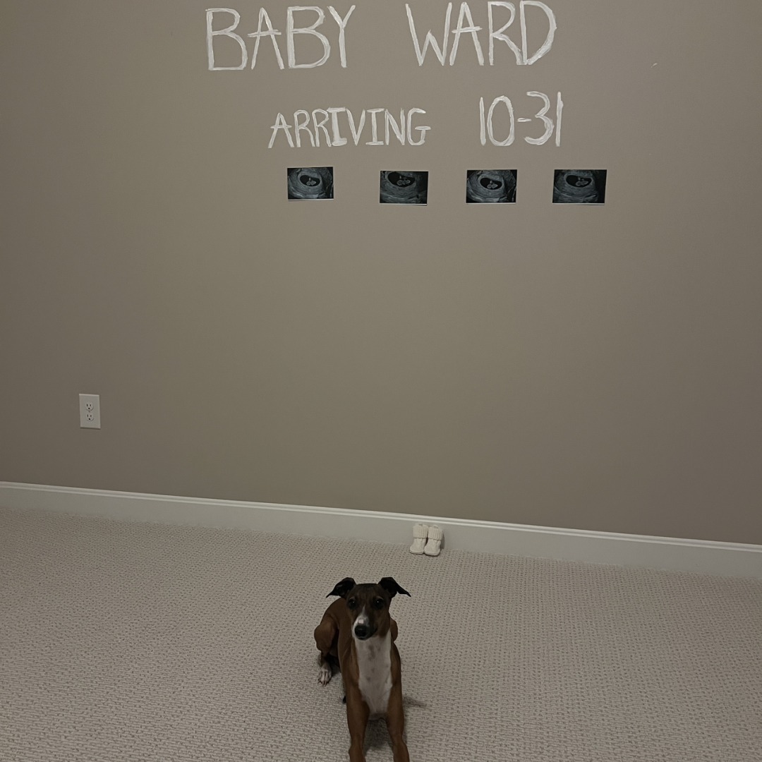 Photo shared by Loghean for their Babylist baby registry.
