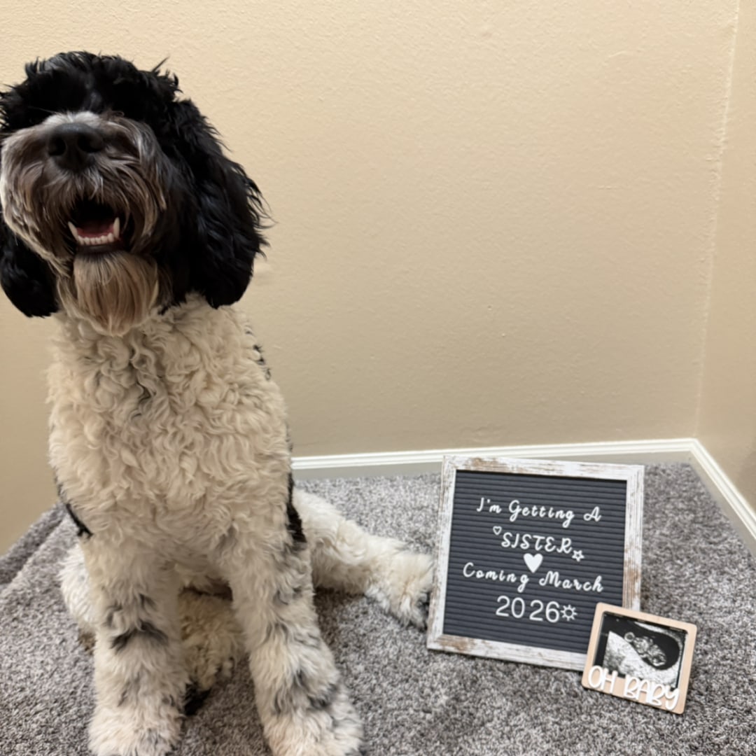 Photo shared by Ashley for their Babylist baby registry.