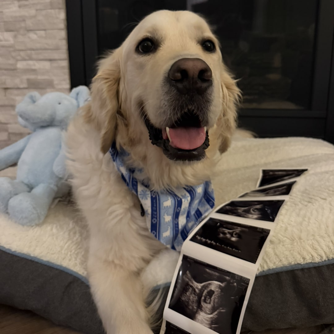 Photo shared by Amy for their Babylist baby registry.